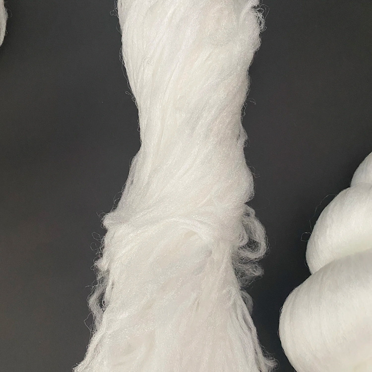 Fiber Bundle