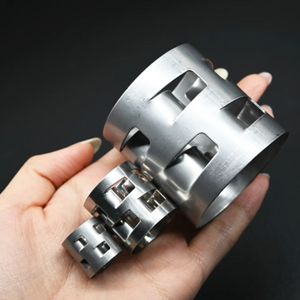 Pall Ring