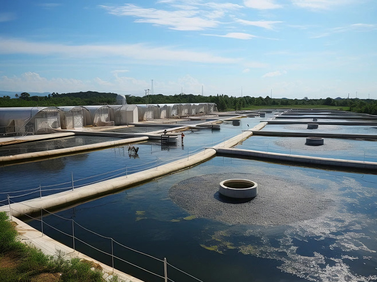 Electroplating Plant 